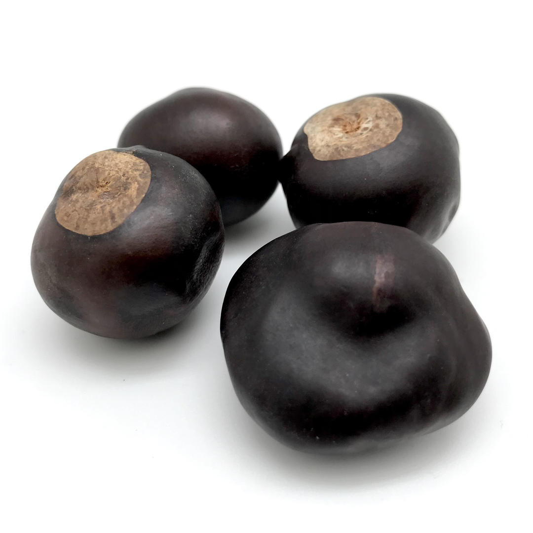 Buckeye, Seed