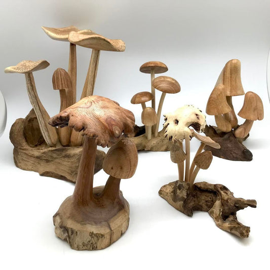 Wooden Mushroom on Drift Wood
